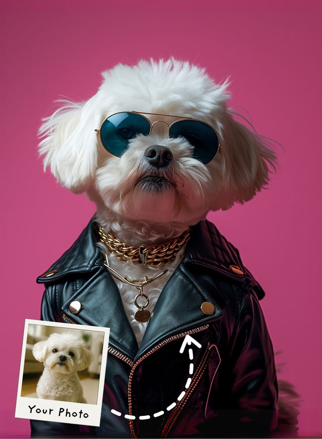 Furget the Rules Pawstar Portrait