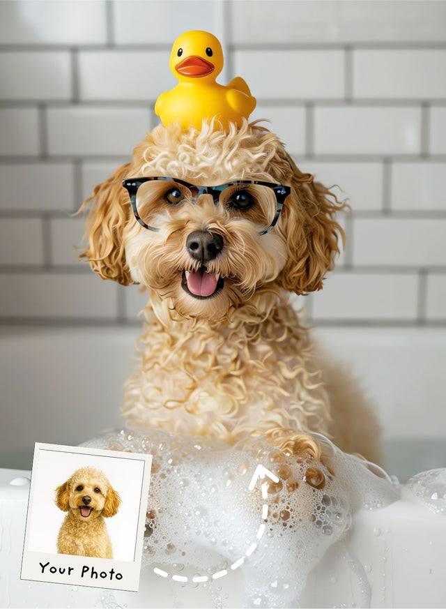 Soapy Cute Paws Portrait
