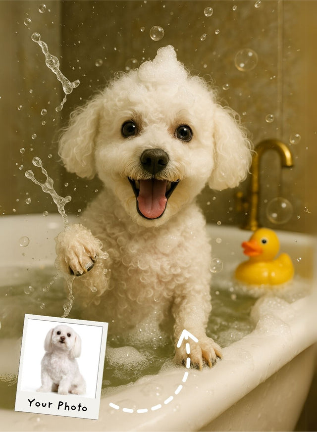 Splish Splash Paws Portrait