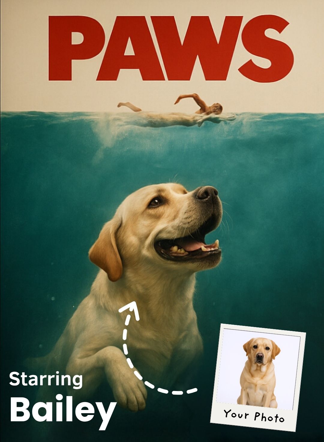 Paws Portrait