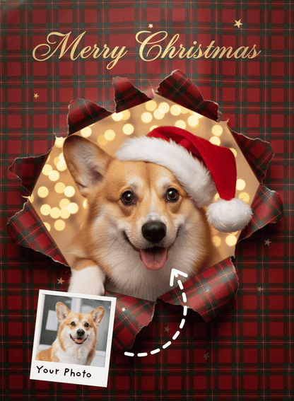 Holiday Gift Pet Portrait