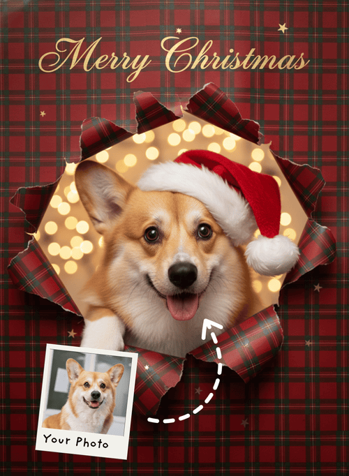 Holiday Gift Pet Portrait