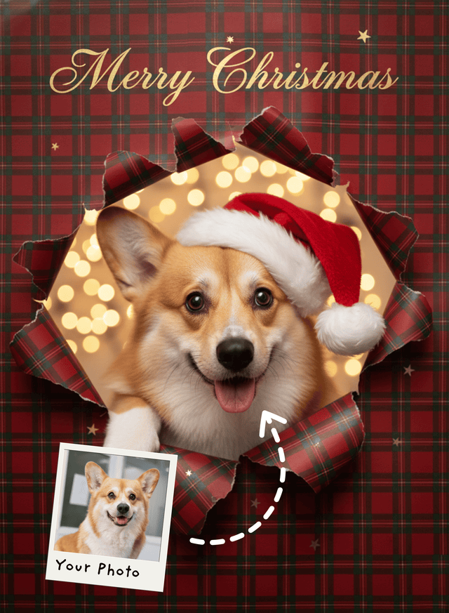 Holiday Gift Pet Portrait