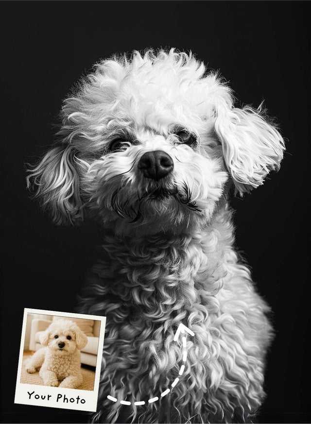 The Regal Ruff Portrait