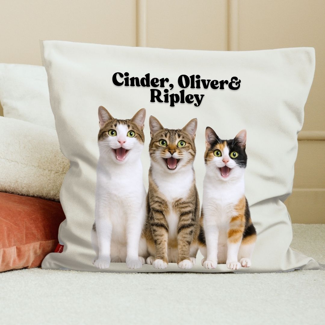Personalized Photo Pillow