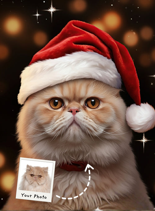 Cozy Christmas Compawnion