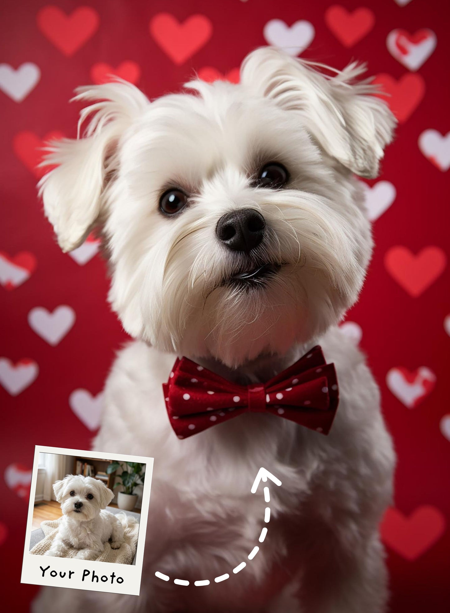 Paws of Love Portrait