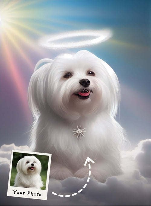 Fluff Above Us Portrait