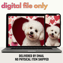 A Purr-Fect Valentine Gift Portrait